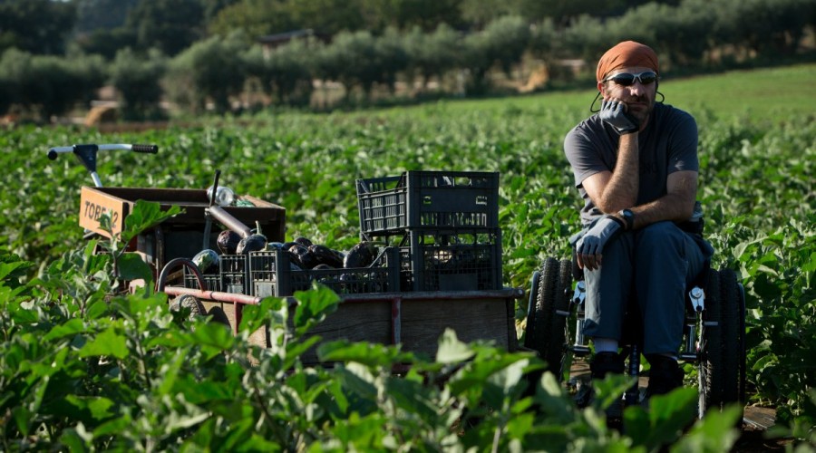 2014 B-Free nel film La nostra terra