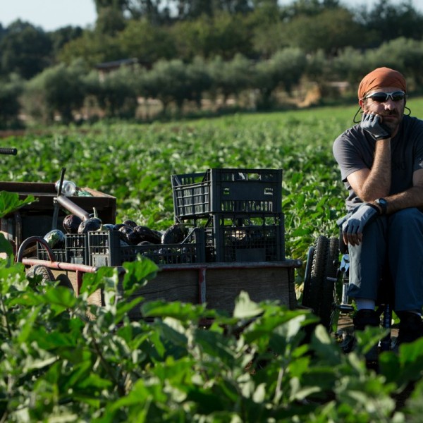 2014 B-Free nel film La nostra terra